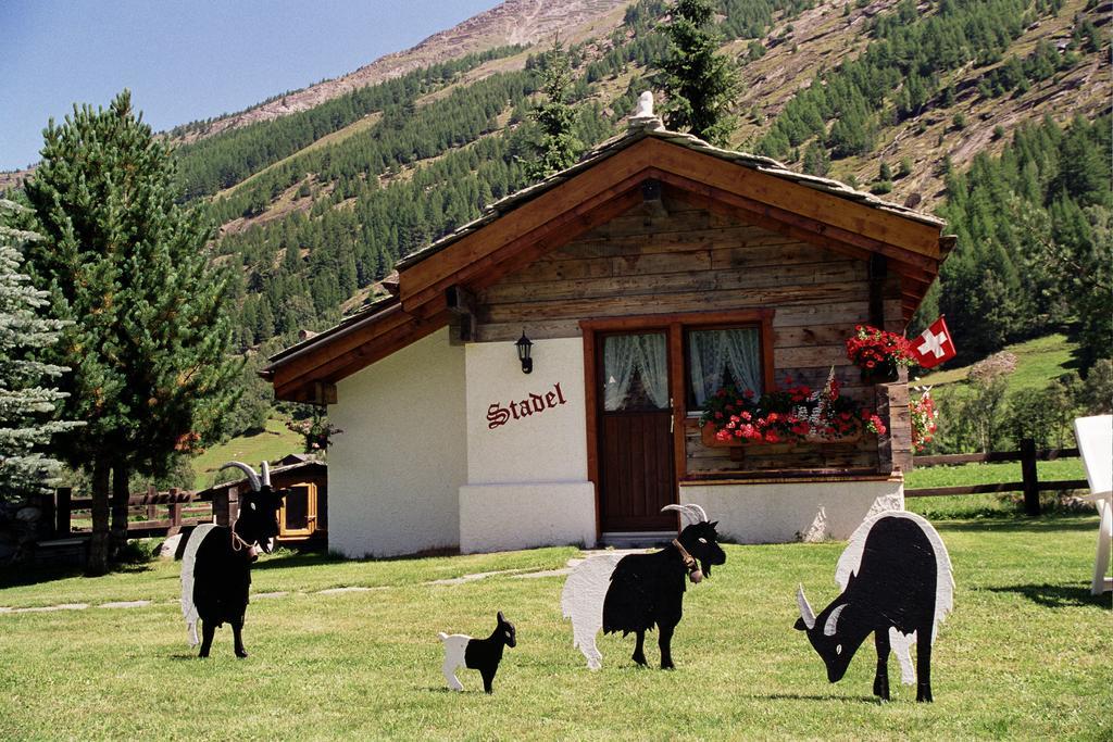 Haus Alpenstern Lägenhet Saas-Grund Rum bild