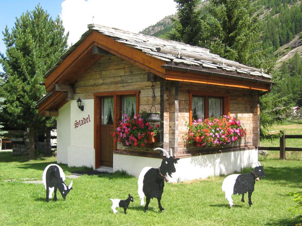 Haus Alpenstern Lägenhet Saas-Grund Rum bild