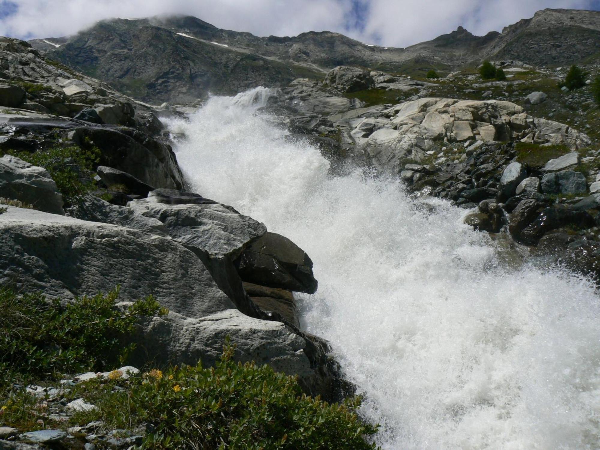 Haus Alpenstern Lägenhet Saas-Grund Rum bild