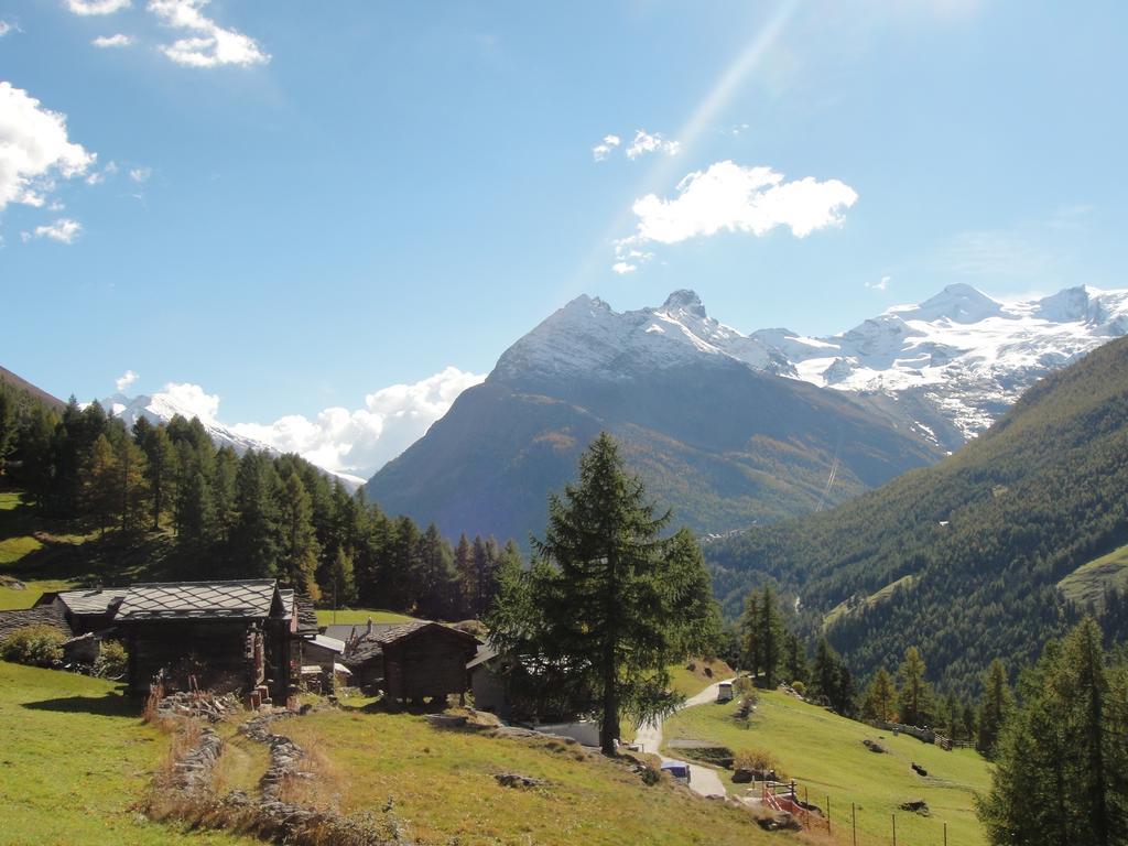 Haus Alpenstern Lägenhet Saas-Grund Exteriör bild