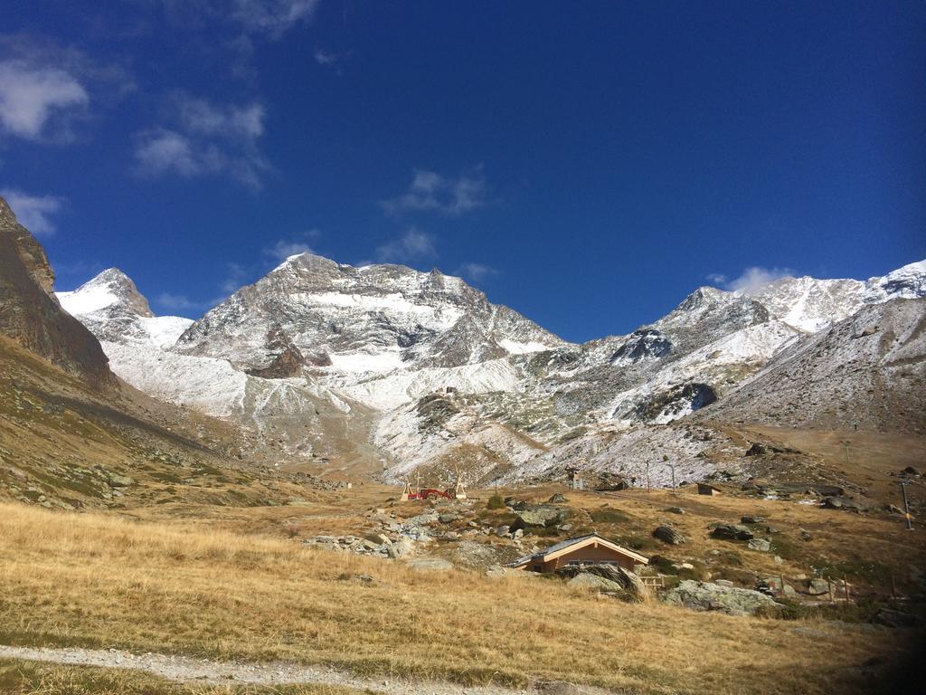 Haus Alpenstern Lägenhet Saas-Grund Exteriör bild