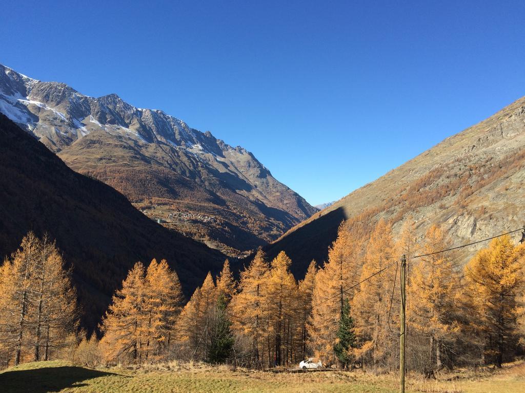 Haus Alpenstern Lägenhet Saas-Grund Exteriör bild