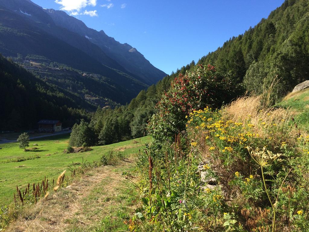 Haus Alpenstern Lägenhet Saas-Grund Exteriör bild
