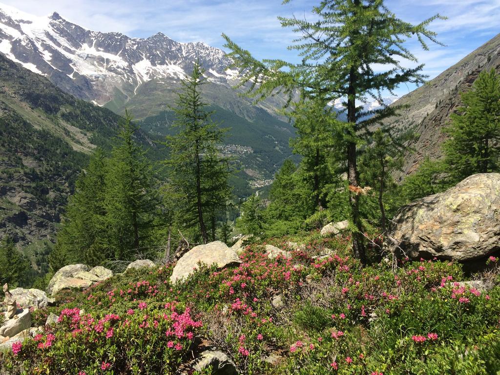 Haus Alpenstern Lägenhet Saas-Grund Exteriör bild